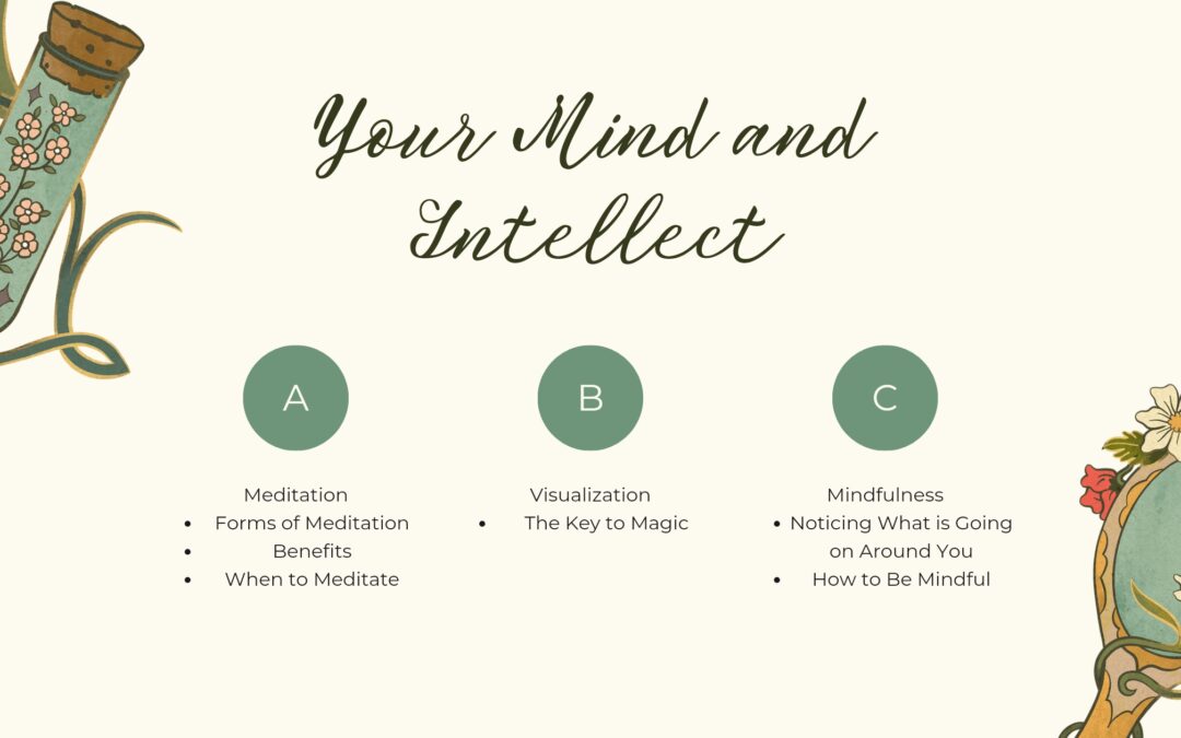 Live Your Magic Course Lesson 2: Your Mind and Intellect