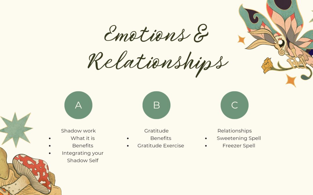 Live Your Magic Course Lesson 4: Your Emotions and Relationships